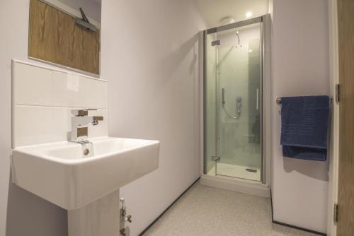 a white bathroom with a sink and a shower at No 8 Ocean Cabins - Saundersfoot Harbour - Saundersfoot in Saundersfoot