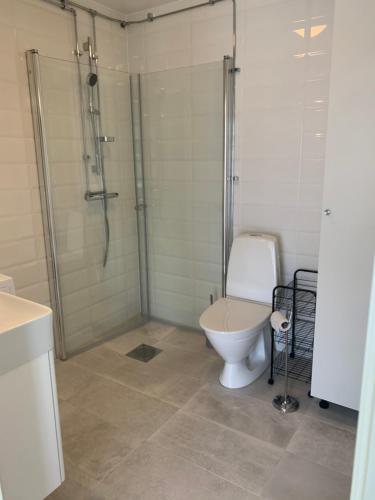 uma casa de banho com um chuveiro e um WC. em Hjalmars Väg 10 Magnarp em Vejbystrand