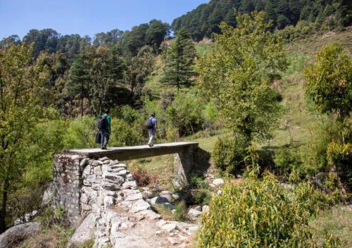 Gambar di galeri bagi Barei Jungle Lodge di Chamba