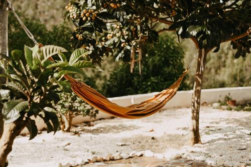 a hammock hanging from a tree in a garden at The Lemon Lodge in Aljezur