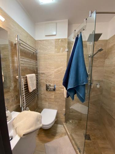 a bathroom with a toilet and a glass shower at Vaszary Secret Nest in Balatonfüred