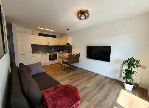 ein Wohnzimmer mit einem Sofa und einer Küche in der Unterkunft Ferienwohnung Ruske in Friedrichshafen