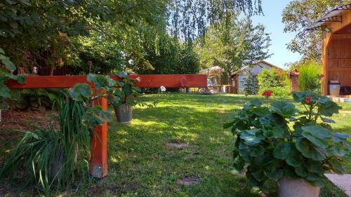 Vonkajšia záhrada v ubytovaní Kisfenyves és Kontyos vendégház
