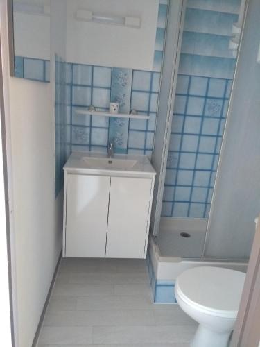 une salle de bain avec un lavabo et des toilettes dans l'établissement Le palais de la méditerranée, à Saint Pierre La Mer