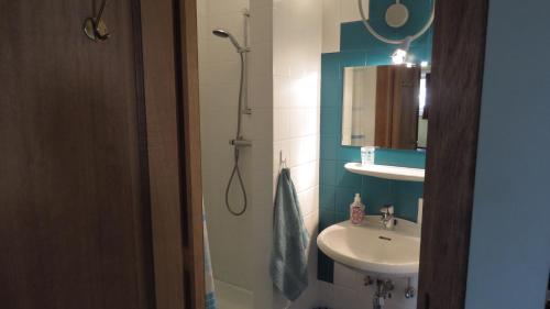 a bathroom with a sink and a shower at Prince d'Orange Bed & Breakfast in Braine-lʼAlleud