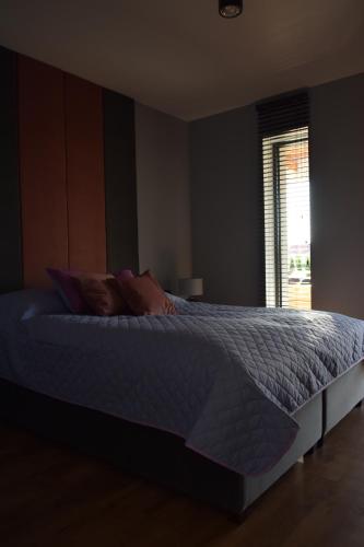 a large bed in a bedroom with a window at Szklane Domy Roztocze 2 in Bondyrz