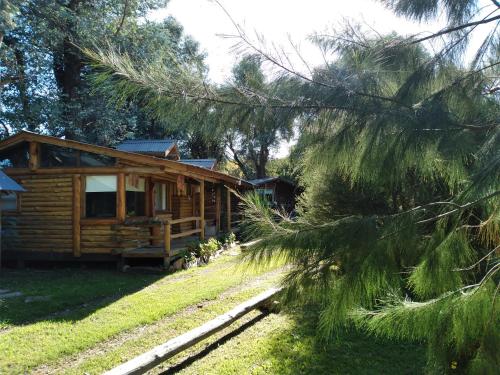 a cabin in the woods with a tree at Pualy Resort & Spa in Belén de Escobar