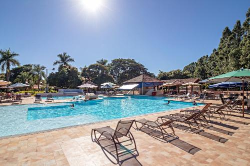 Ribeirão Bonito的住宿－Santa Eliza Eco Resort，一个带椅子和遮阳伞的大型游泳池