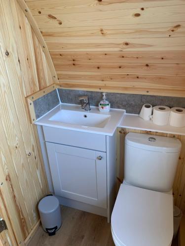 The Stag Pod Farm Stay with Hot Tub Sleeps 2 Ayrshire Rural Retreats في Galston: حمام صغير مع حوض ومرحاض