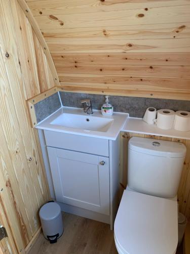 ein kleines Badezimmer mit Waschbecken und Toilette in der Unterkunft The Stag Pod Farm Stay with Hot Tub Sleeps 2 in Galston