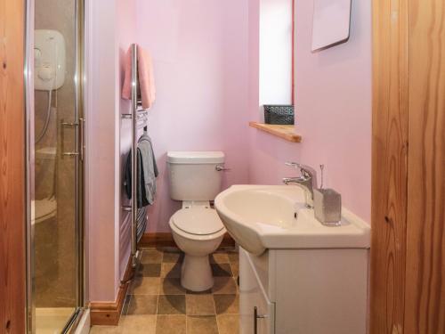 a bathroom with a toilet and a sink and a shower at Farm Yard Cottage in Pickering