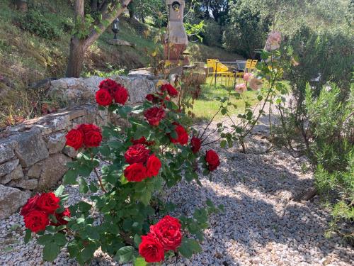 a bunch of red roses in a garden at Location du Ranch in Algajola
