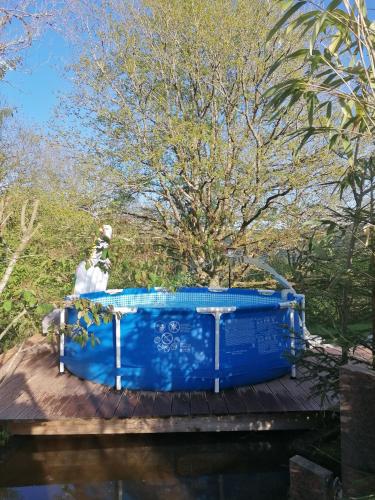 Kolam renang di atau dekat dengan Schwarzwald Appartement