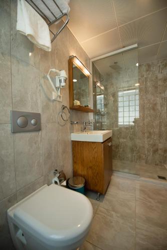 a bathroom with a toilet and a sink and a shower at Duru Sultanahmet Apart & Suites in Istanbul