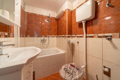 Apartment Trešnja