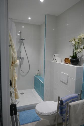 a bathroom with a shower and a toilet in it at T2 à Sérignan Hérault in Sérignan