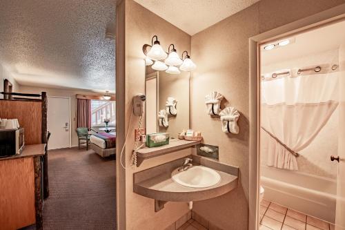 a bathroom with a sink and a shower and a mirror at Antler Inn in Jackson