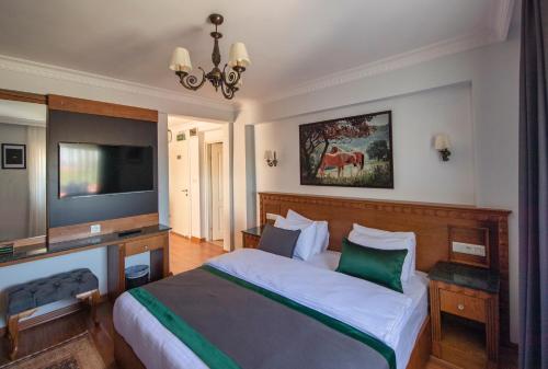 a bedroom with a bed and a flat screen tv at Duru Sultanahmet Apart & Suites in Istanbul