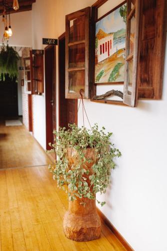 a plant in a vase on the floor in a hallway at Sapê Guest Hotel in Praia do Rosa