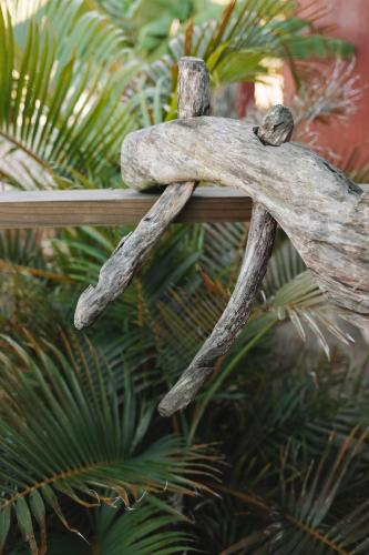 a pair of antlers on a piece of drift wood at Sapê Guest Hotel in Praia do Rosa