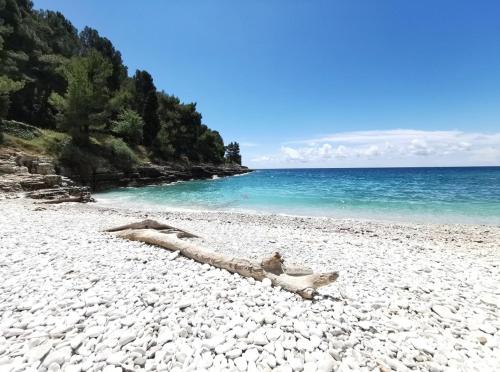 Pearl Apartment Pula