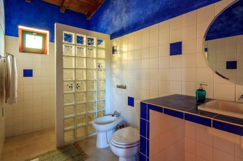 a blue and white bathroom with a toilet and a sink at The New Laziness in São Luis