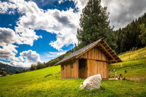 a small wooden building in a grassy field at Tonibauer in Tamsweg