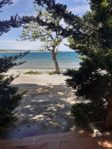 Φυσικό τοπίο κοντά σε αυτό το bed & breakfast