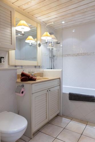 une salle de bain avec un lavabo, des toilettes et une douche dans l'établissement Situation exceptionnelle pour ce cosy studio avec terrasse SUR LAC, dans résidence avec PLAGE et ponton PRIVEE, à Duingt
