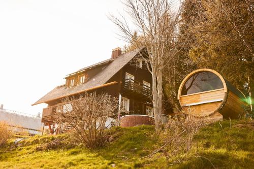 a house with a boat sitting on a hill at Ferienhaus "Am Wäldle" in Feldberg