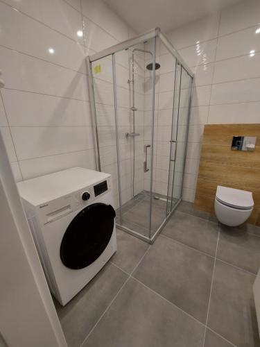 a bathroom with a toilet and a glass shower at Holidays Home Ustrzyki in Ustrzyki Dolne