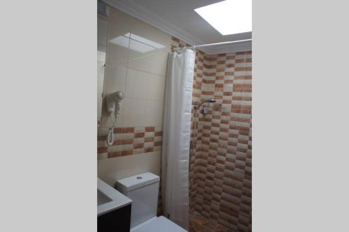 a bathroom with a toilet and a shower at Finca Cortez Apartment 2 in San Bartolomé