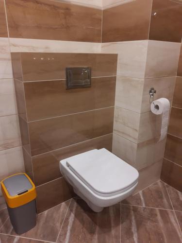 ein Badezimmer mit einem WC und einem Mülleimer in der Unterkunft Apartament na Strzeleckiej in Płock