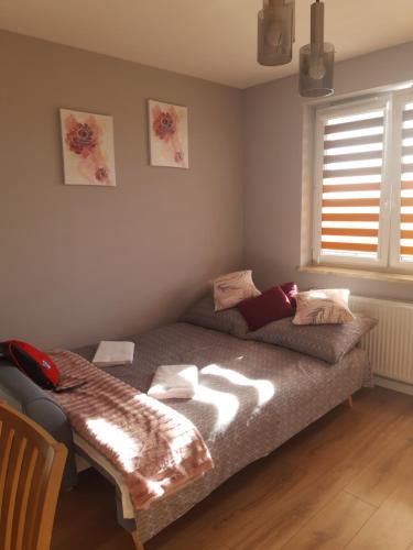 Bett in einem Zimmer mit Fenster in der Unterkunft Apartament na Strzeleckiej in Płock