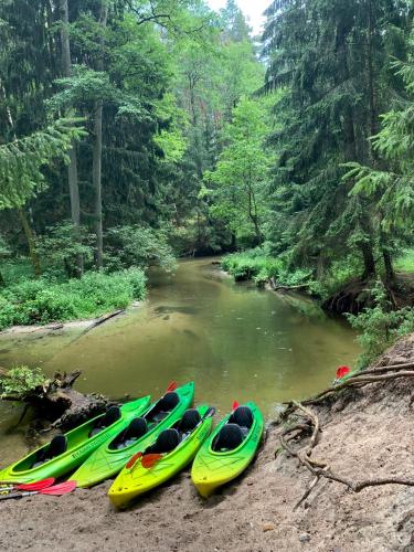 four kayaks lined up on the shore of a river at Caravana Juliana - Glamping in Swaderki