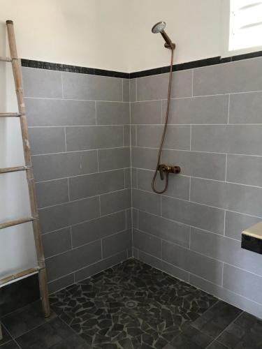 a bathroom with a shower with a ladder at LES ALOÈS By CREYOL ANIMAL in Grand-Bourg