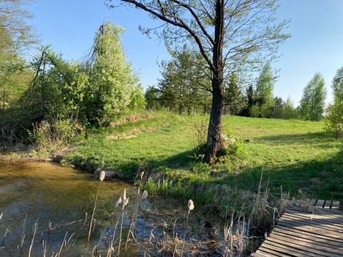 a river with a tree and a wooden bridge at Cisy Resort-bon turystyczny,,ogrodzony teren na wyłączność,150 m od jeziora in Makosieje