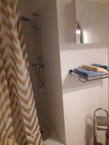ein Bad mit Dusche und Duschvorhang in der Unterkunft CASSIS 4PERS VUE MER WIFI TENNIS PARKING PISCINE in Cassis