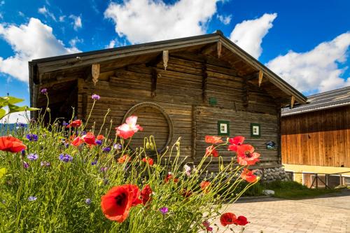 a wooden building with flowers in front of it at Almhütte Brandgut in Mühlbach am Hochkönig
