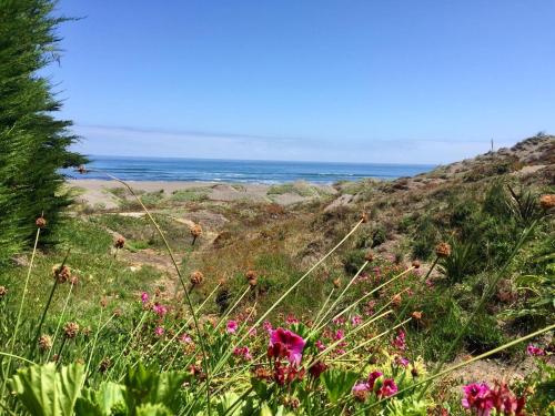 a field of flowers with the ocean in the background at B&B Casa Las Brisas Matanzas in Matanzas