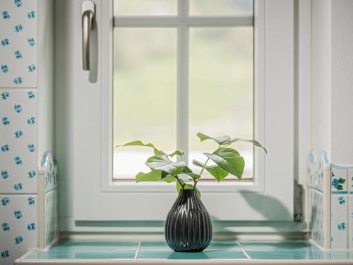 a vase with a plant sitting on a counter in front of a window at Aparthotel Stacherhof in Fügen
