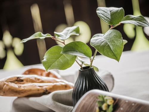 a vase with a plant in it on a table at Aparthotel Stacherhof in Fügen