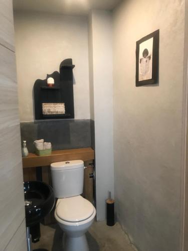 a bathroom with a white toilet and a black sink at Le Loft de l ancienne forge in Muhlbach-sur-Munster