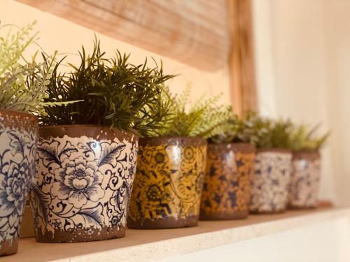 a row of blue and white vases with plants on a shelf at Casa Ruy Lopez in Zafra