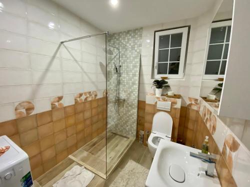 a bathroom with a shower and a toilet and a sink at Convini Bed & Bathroom Homestay in Pristina