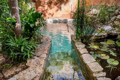 a pool of water in a garden with plants at La Selva by Majikal B&B in Mérida