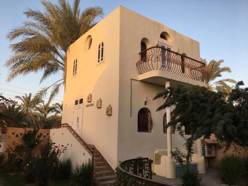 a building with a balcony and a palm tree at Alexander Lodge in Siwa