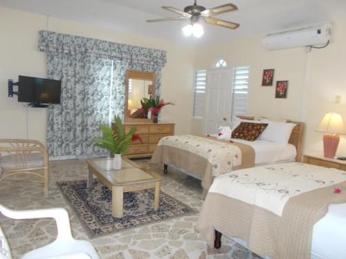 a living room with two beds and a tv at Paradise Inn in Port Antonio