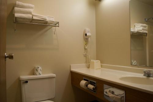 Een badkamer bij AmeriVu Inn and Suites Shawano WI
