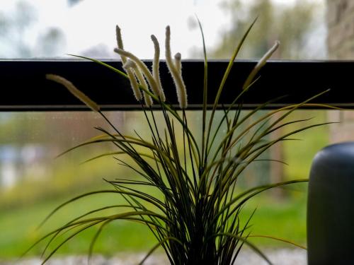 a potted plant sitting next to a window at Picturesque villa with swimming pool in Bierges